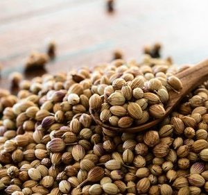 Coriander