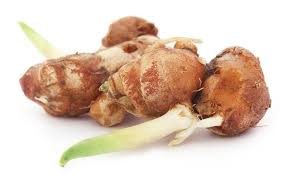 Galangal
