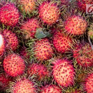 Rambutan