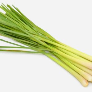 Lemon Grass