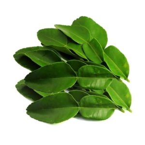Lime Leaf