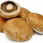 Mushrom Prtbelo