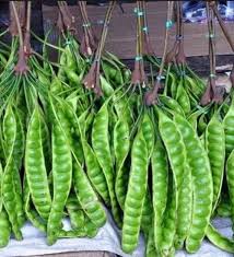 Petai